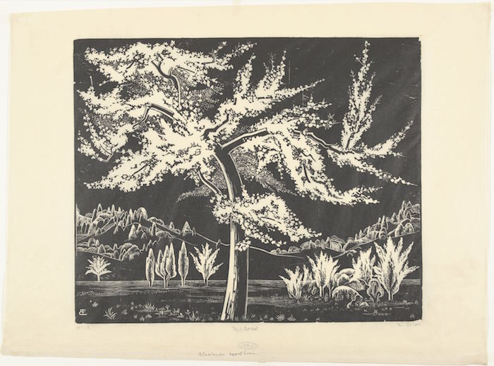 Bloeiende Appelboom, Bernard Essers, , 1903 - 1945
